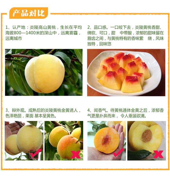 炎陵黄桃产品识别对比图